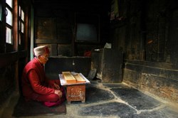 A Tibetan Pilgrim