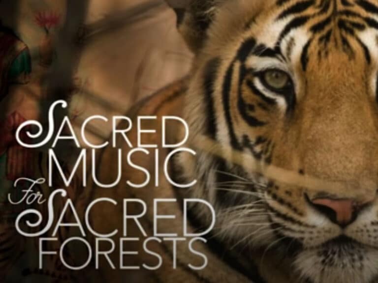 Sacred Music for Sacred Forests: A Benefit to Support Wildlife & Wild Places | October 21, 2022