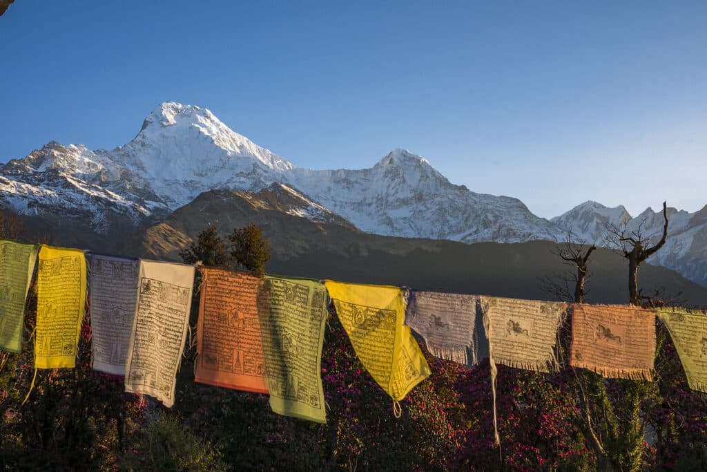 Tibetan prayer flags against snowcapped mountains