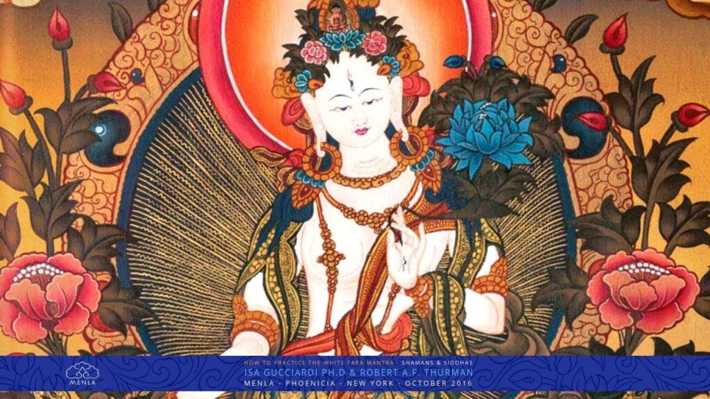 What are the main Aspects of Tibetan Healing? Nida Chenagtsang & Robert Thurman : Sowa Rigpa