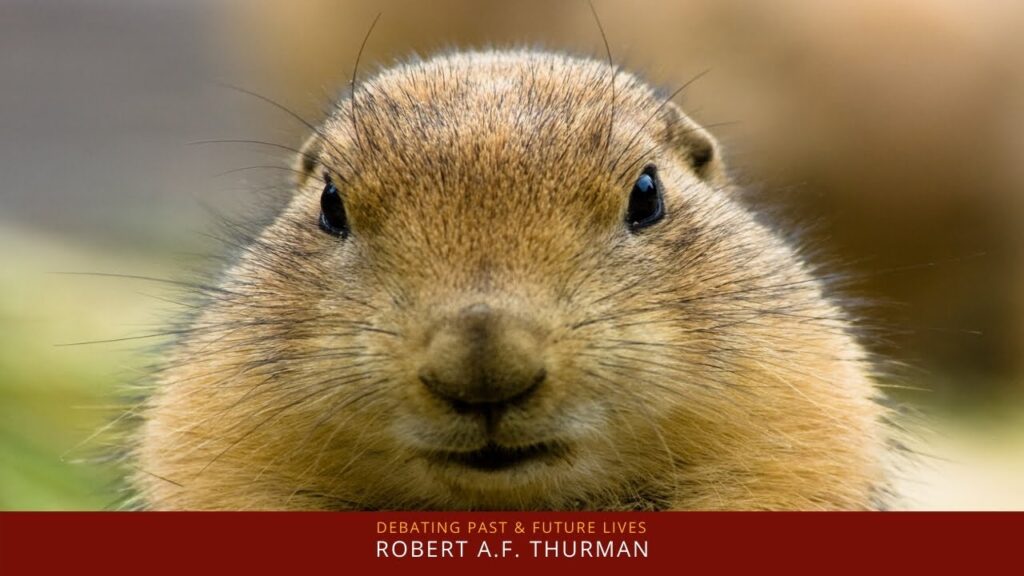 Why is Tibetan Culture the Culture of Enlightenment? Robert A.F. Thurman Embodied Philosophy
