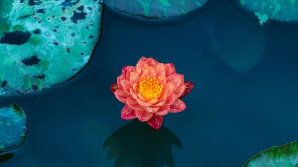 Being Wise Selfish + Compassion Fatigue Myths : Robert Thurman & Daniel Goleman on the Dalai Lama