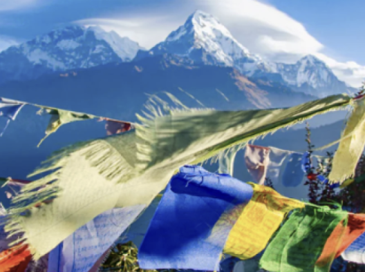 No Lunchtime Meditation on Thursday, Feb. 12 + More Updates