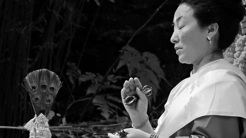 2The Heart of Awakening_ An Exploration of Bodhicitta with Khandro Rinpoche. - site