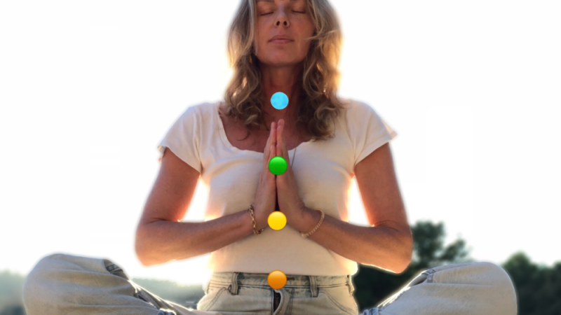 DOT ORG - ubtle Body Work_ Be the Light Within